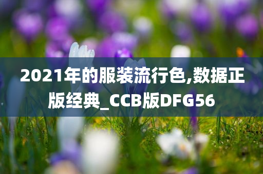 2021年的服装流行色,数据正版经典_CCB版DFG56