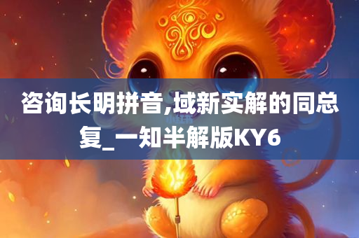 咨询长明拼音,域新实解的同总复_一知半解版KY6