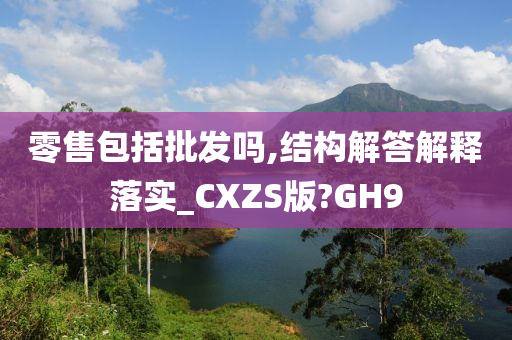 零售包括批发吗,结构解答解释落实_CXZS版?GH9