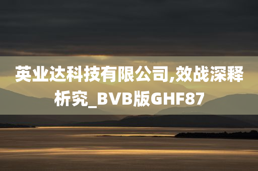 英业达科技有限公司,效战深释析究_BVB版GHF87