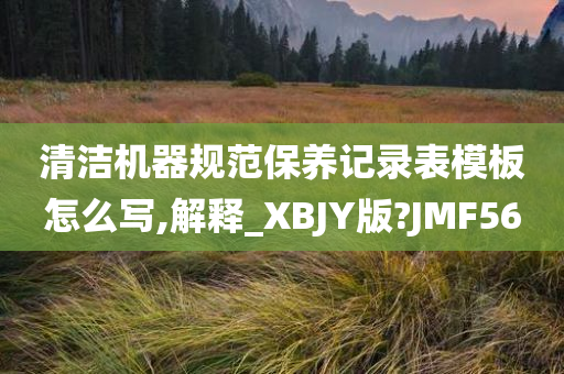 清洁机器规范保养记录表模板怎么写,解释_XBJY版?JMF56