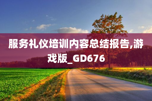 服务礼仪培训内容总结报告,游戏版_GD676