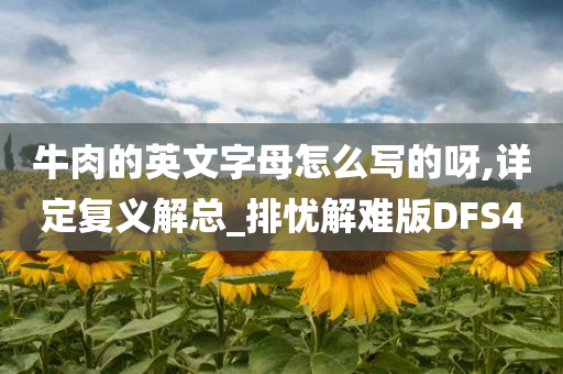 牛肉的英文字母怎么写的呀,详定复义解总_排忧解难版DFS4