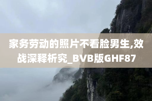 家务劳动的照片不看脸男生,效战深释析究_BVB版GHF87