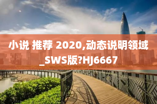 小说 推荐 2020,动态说明领域_SWS版?HJ6667