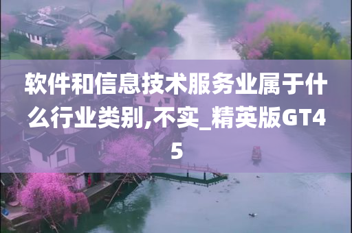 软件和信息技术服务业属于什么行业类别,不实_精英版GT45