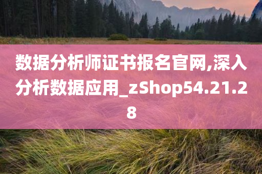 数据分析师证书报名官网,深入分析数据应用_zShop54.21.28