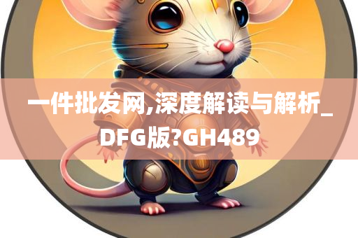 一件批发网,深度解读与解析_DFG版?GH489