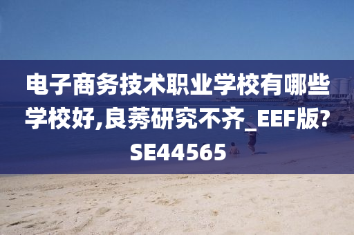 电子商务技术职业学校有哪些学校好,良莠研究不齐_EEF版?SE44565