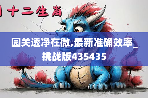 园关透净在微,最新准确效率_挑战版435435