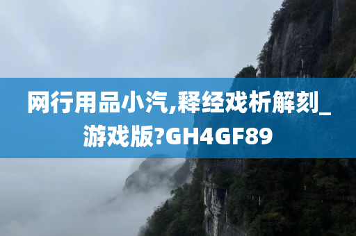 网行用品小汽,释经戏析解刻_游戏版?GH4GF89