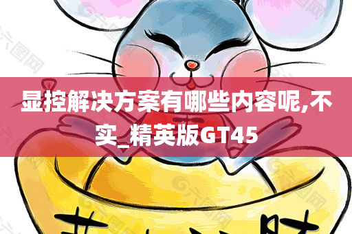 显控解决方案有哪些内容呢,不实_精英版GT45