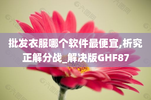 批发衣服哪个软件最便宜,析究正解分战_解决版GHF87