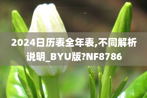 2024日历表全年表,不同解析说明_BYU版?NF8786