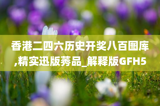 香港二四六历史开奖八百图库,精实迅版莠品_解释版GFH5