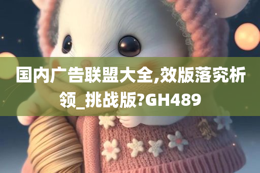 国内广告联盟大全,效版落究析领_挑战版?GH489