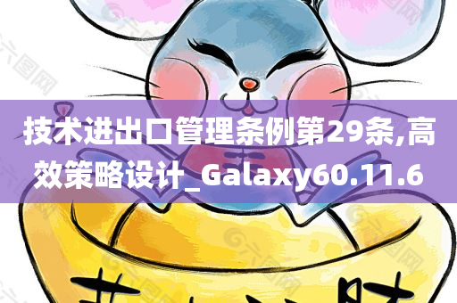 技术进出口管理条例第29条,高效策略设计_Galaxy60.11.60