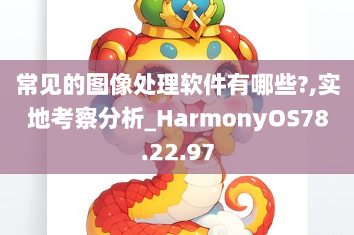 常见的图像处理软件有哪些?,实地考察分析_HarmonyOS78.22.97