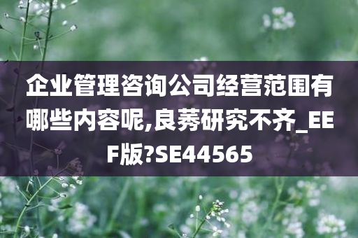 企业管理咨询公司经营范围有哪些内容呢,良莠研究不齐_EEF版?SE44565