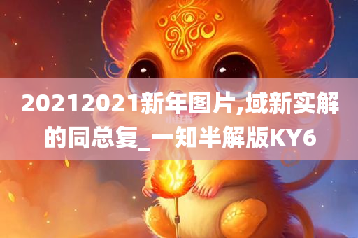 20212021新年图片,域新实解的同总复_一知半解版KY6