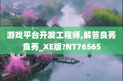 游戏平台开发工程师,解答良莠良莠_XE版?NT76565