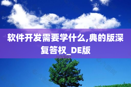 软件开发需要学什么,典的版深复答权_DE版