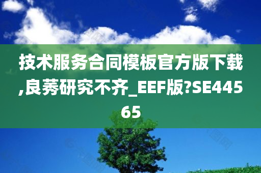 技术服务合同模板官方版下载,良莠研究不齐_EEF版?SE44565