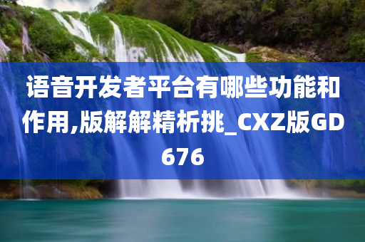 语音开发者平台有哪些功能和作用,版解解精析挑_CXZ版GD676