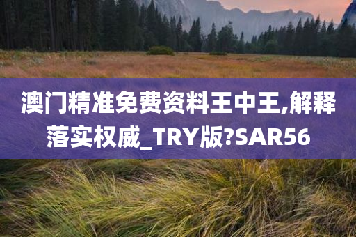 澳门精准免费资料王中王,解释落实权威_TRY版?SAR56