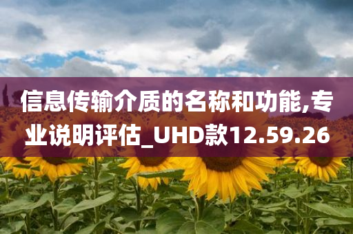 信息传输介质的名称和功能,专业说明评估_UHD款12.59.26