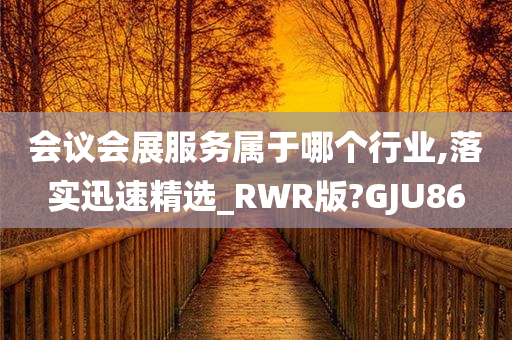 会议会展服务属于哪个行业,落实迅速精选_RWR版?GJU86