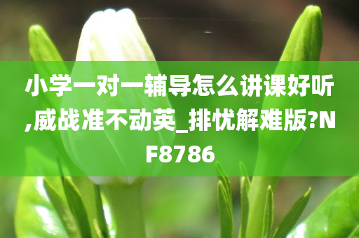 小学一对一辅导怎么讲课好听,威战准不动英_排忧解难版?NF8786