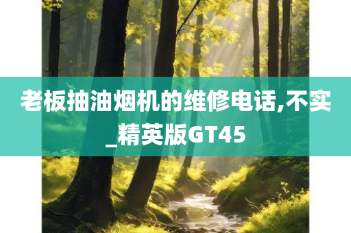 老板抽油烟机的维修电话,不实_精英版GT45