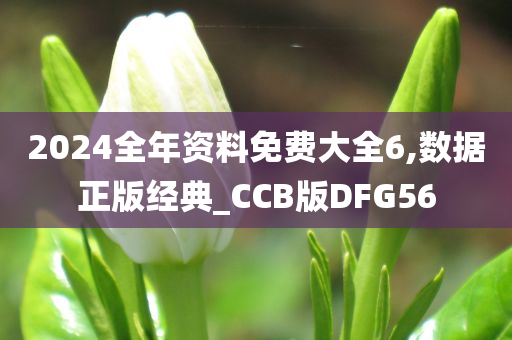 2024全年资料免费大全6,数据正版经典_CCB版DFG56