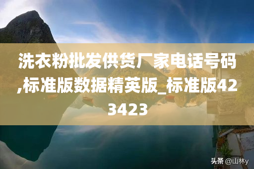 洗衣粉批发供货厂家电话号码,标准版数据精英版_标准版423423