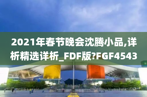 2021年春节晚会沈腾小品,详析精选详析_FDF版?FGF4543