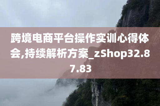 跨境电商平台操作实训心得体会,持续解析方案_zShop32.87.83