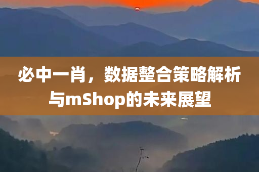 必中一肖，数据整合策略解析与mShop的未来展望