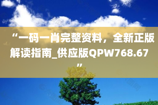 “一码一肖完整资料，全新正版解读指南_供应版QPW768.67”