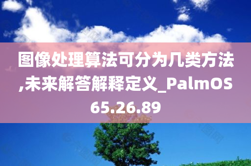 图像处理算法可分为几类方法,未来解答解释定义_PalmOS65.26.89