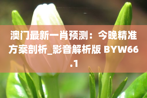 澳门最新一肖预测：今晚精准方案剖析_影音解析版 BYW66.1