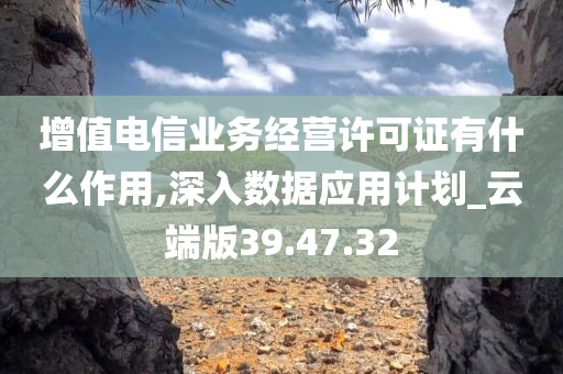 增值电信业务经营许可证有什么作用,深入数据应用计划_云端版39.47.32