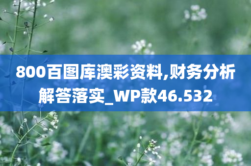 800百图库澳彩资料,财务分析解答落实_WP款46.532