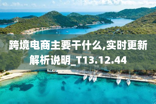 跨境电商主要干什么,实时更新解析说明_T13.12.44