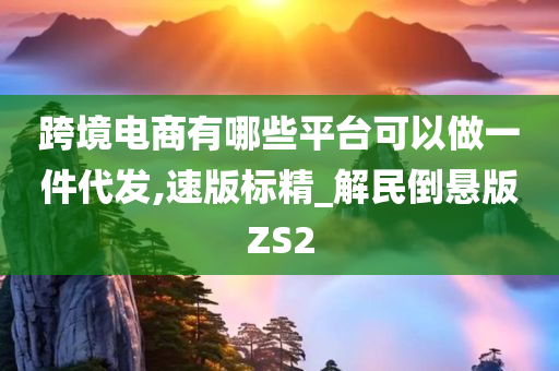 跨境电商有哪些平台可以做一件代发,速版标精_解民倒悬版ZS2