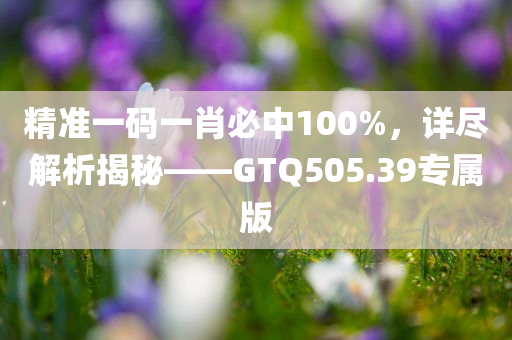 精准一码一肖必中100%，详尽解析揭秘——GTQ505.39专属版