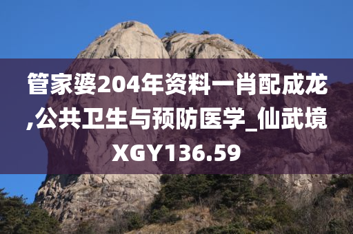 管家婆204年资料一肖配成龙,公共卫生与预防医学_仙武境XGY136.59