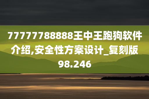 77777788888王中王跑狗软件介绍,安全性方案设计_复刻版98.246