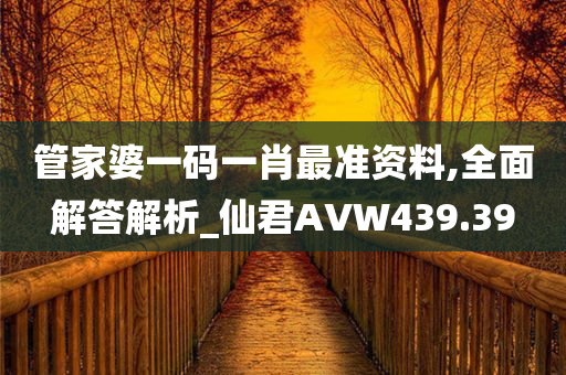 管家婆一码一肖最准资料,全面解答解析_仙君AVW439.39