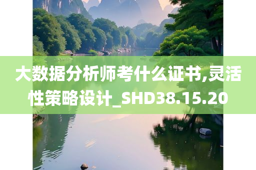 大数据分析师考什么证书,灵活性策略设计_SHD38.15.20